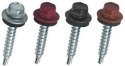 WKRĘT SAMOWIERTNY 4.8*20MM RAL 3016