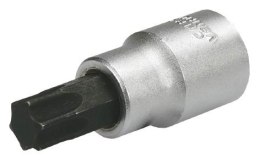 NASADKA TORX 1/2'' T40*60MM